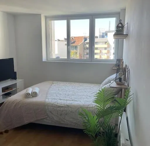 Lägenhet Cosy Rue Alexander Taylor, Wifi, 2 Pers Pau
